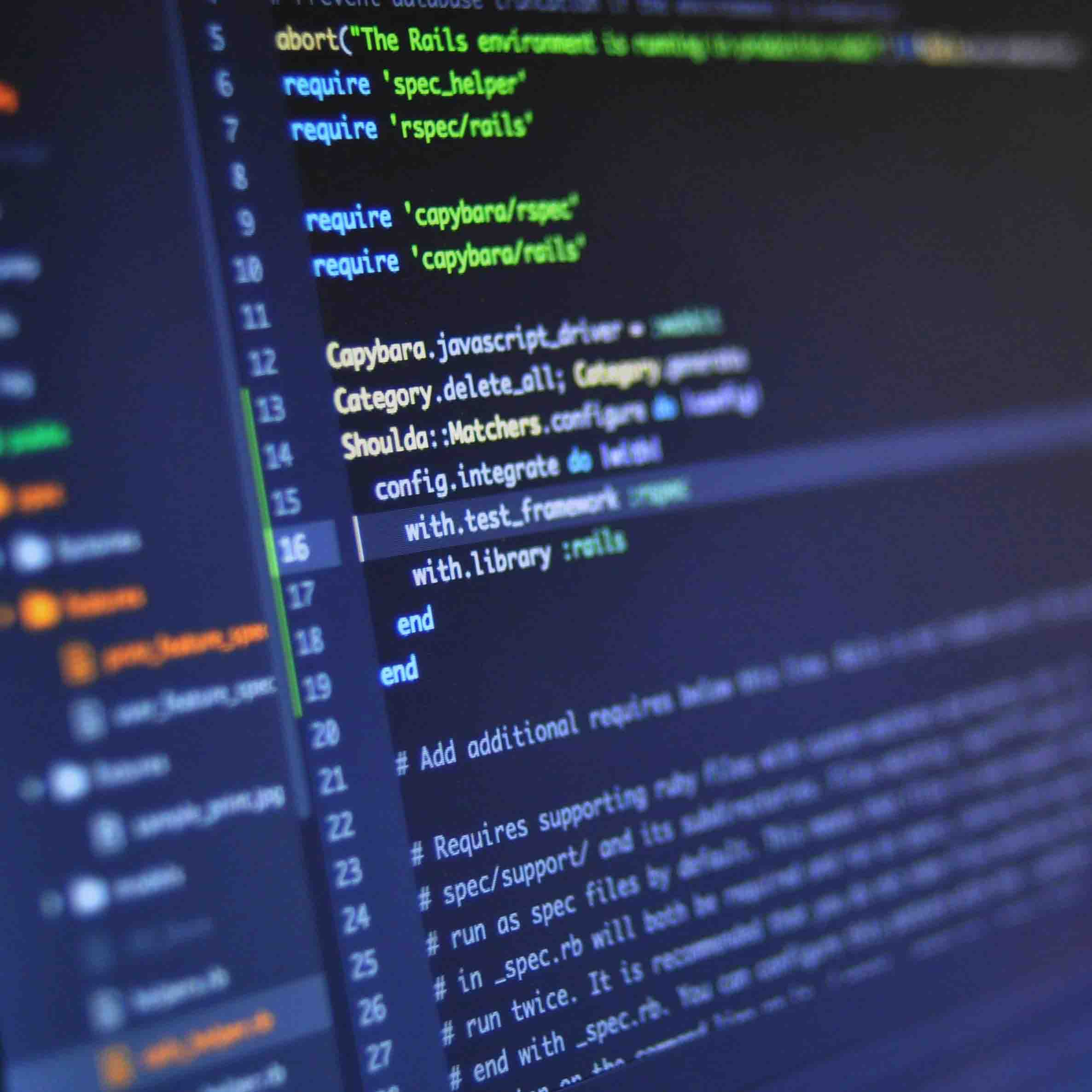 Software Function Customization